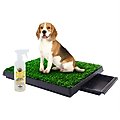 Coziwow by Jaxpety Indoor Grass Potty Dog Pee Turf with Drawer, 20 x 25-in + PetSafe Pet Loo Wee Care Enzyme Cleaner, 16-oz