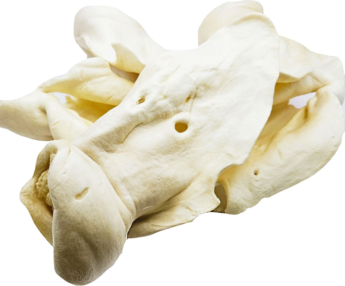 The Treat Shack Large Cow Hooves Dog Treat
