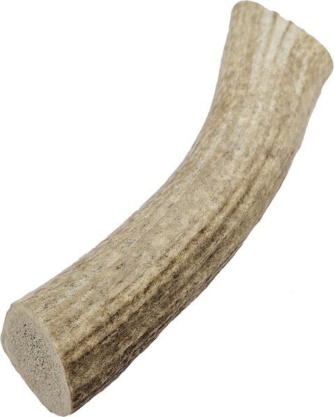 The Treat Shack Whole Naturally Shed 7-in Deer Antler Dog Treats, Large