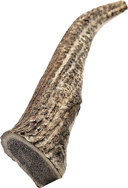 The Treat Shack Whole Naturally Shed 8-in Deer Antler Dog Treats, X-Large