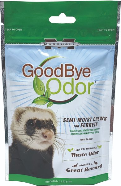 Ferrets 2024 favorite treats