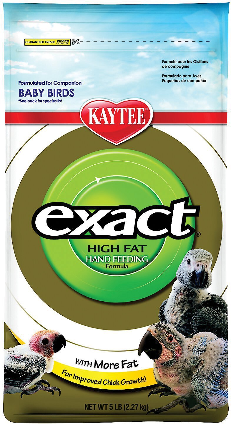 kaytee exact hand feeding formula ingredients