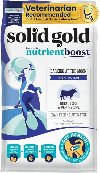 SOLID GOLD High Protein Gut Health Real Beef Egg Pea Grain Free Dry Dog Food 22 lb bag Chewy