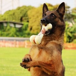 Tikaton Peanut Butter Flavored Dog Chew Toy, Large slide 2 of 6