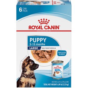Royal Canin Size Health Nutrition Large Puppy Thin Slices in Gravy Wet Dog Food, 13-oz can, case of 6