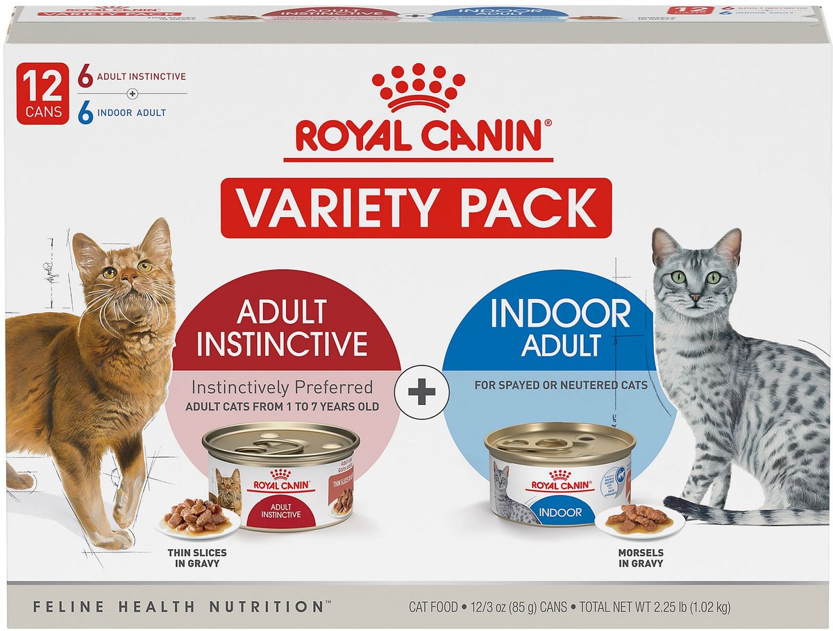 Indoor wet best sale cat food