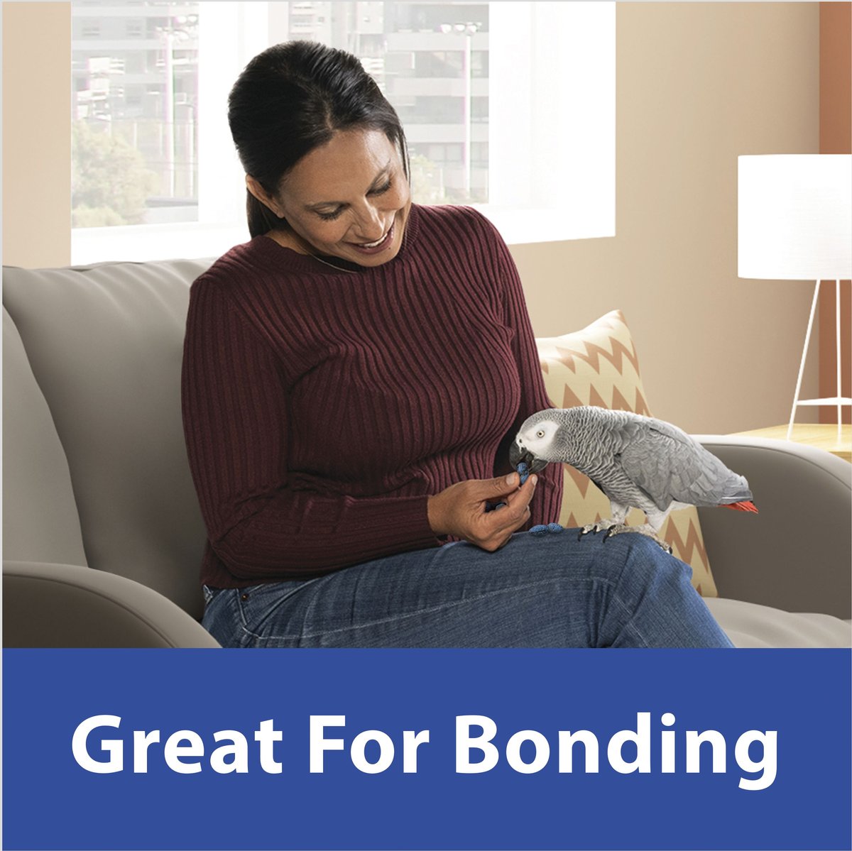 KAYTEE Fiesta Blueberry Flavored Yogurt Dipped Sunflower Seeds Bird