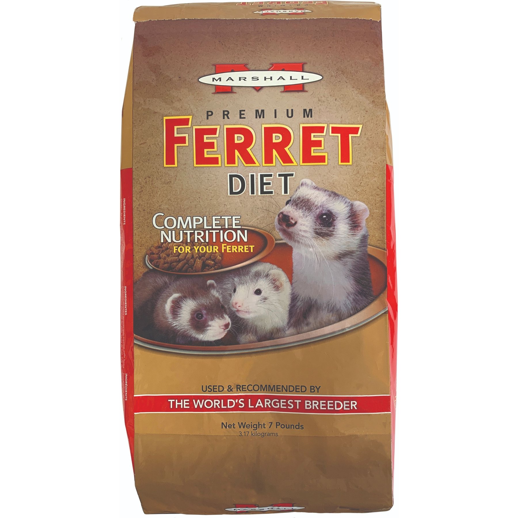 Ferret shops feeding