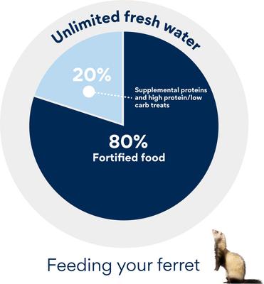 Show full view: Marshall Premium Ferret Food, 7-lb bag slide 5 of 6