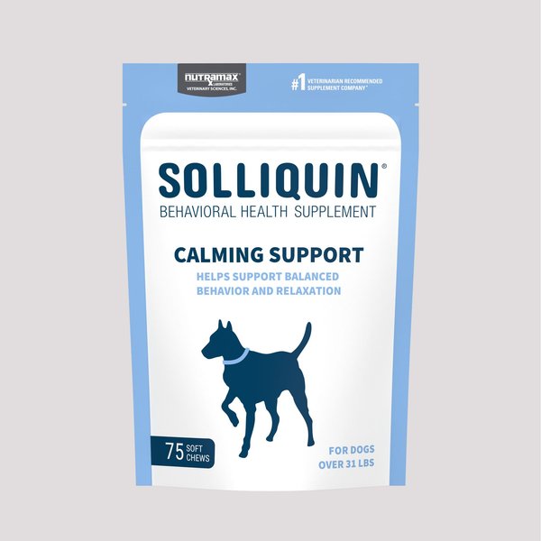 Nutramax Solliquin Soft Chew Calming Supplement for Large Dogs, 75 count slide 1 of 5