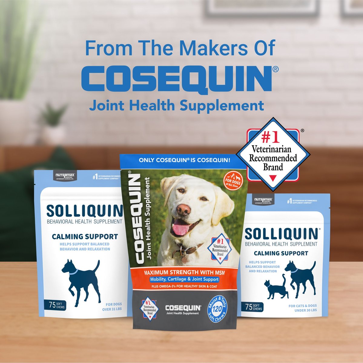 Nutramax Solliquin Soft Chew Calming Behavioral Health Supplement