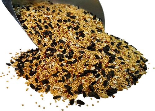 Show full view: Bar ALE Non-GMO Supreme Wild Field & Song Bird Food, 10-lb bag slide 3 of 5