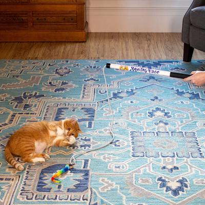 Show full view: Squishy Face Studio Tough Teaser Exercise Lure Cat Toy slide 3 of 9