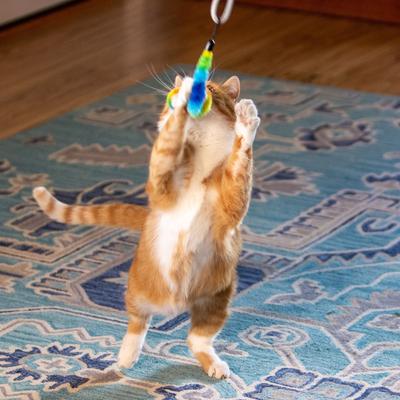 Show full view: Squishy Face Studio Tough Teaser Exercise Lure Cat Toy slide 5 of 9