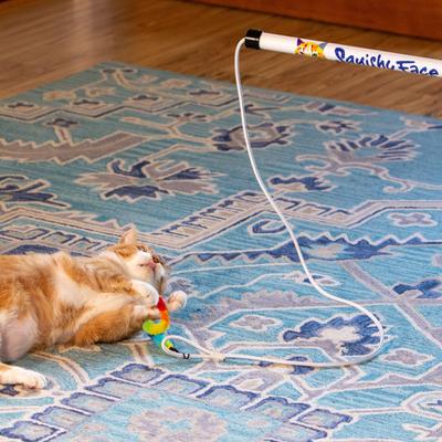 Show full view: Squishy Face Studio Tough Teaser Exercise Lure Cat Toy slide 7 of 9