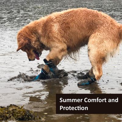 Show full view: Muttluks Mud Monsters All Terrain Rugged Summer Dog Boots, 2 count, Blue, 4 slide 7 of 8