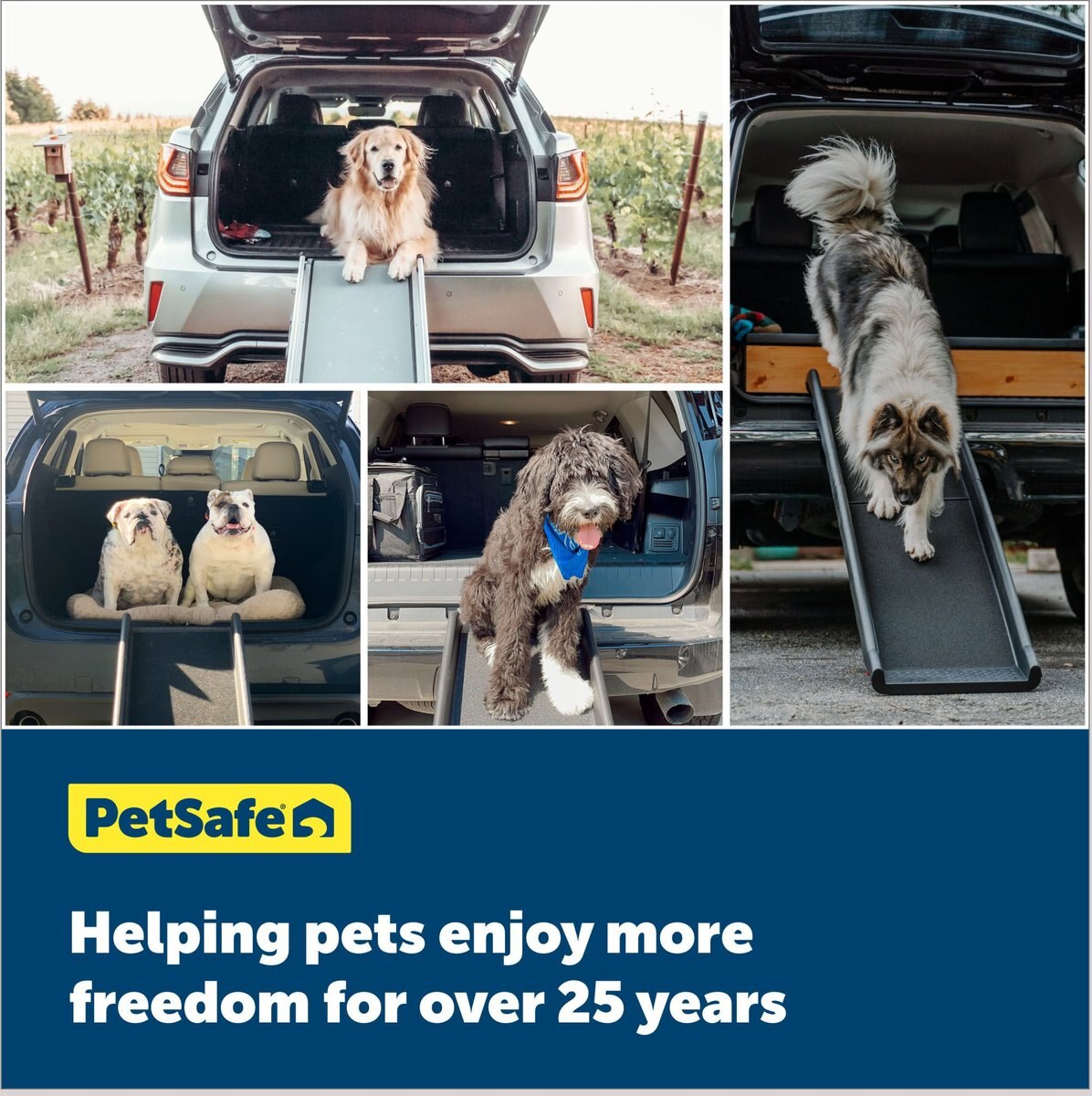 PetSafe Happy Ride Dog Stroller Conversion Kit