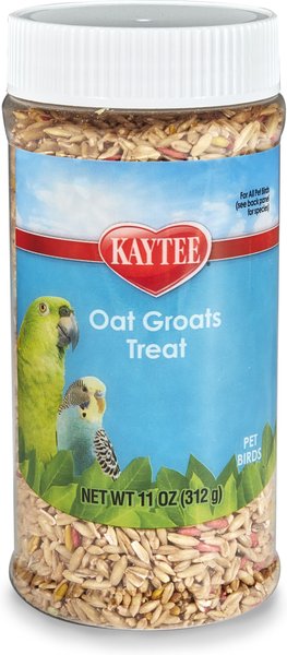 KAYTEE Forti Diet Pro Health Oat Groats Bird Treats 11 oz jar Chewy