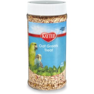 Kaytee Forti-Diet Pro Health Oat Groats Bird Treats, 11-oz jar