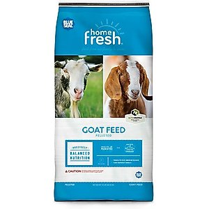 Blue Seal Home Fresh 20 Dairy Goat Feed, 50-lb bag