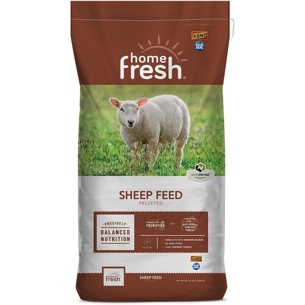 Kent / Blue Seal Home Fresh Pellet Shephard 16 Sheep Feed, 50-lb bag