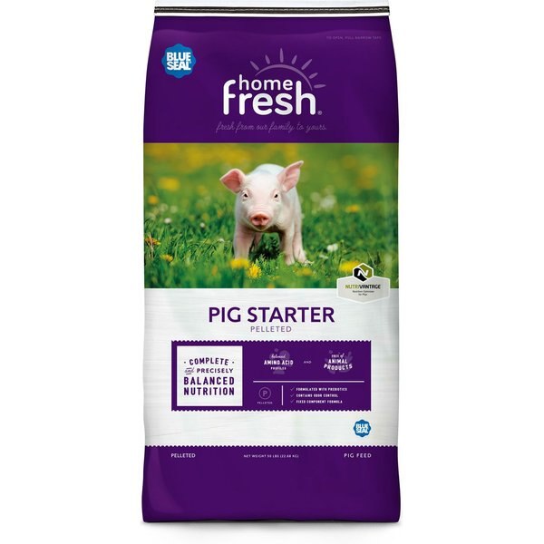 SCRATCH AND PECK FEEDS Organic Mini Pig Young Feed Whole Grain Mash, 25