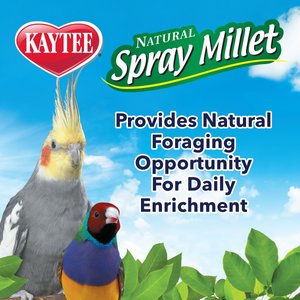 Kaytee Natural Spray Millet Bird Treats, 12 count