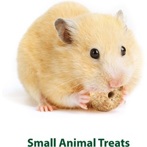 Kaytee Baked Apple Timothy Biscuit Small Animal Treats, 4-oz bag