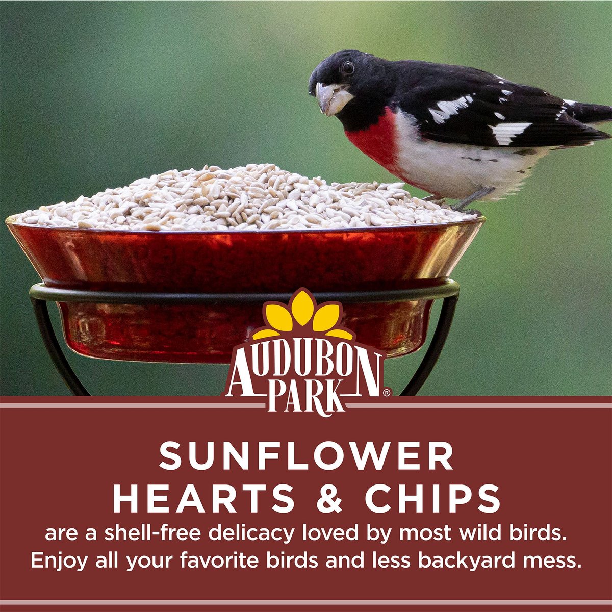 AUDUBON PARK Sunflower Hearts & Chips Wild Bird Food, 5-lb Bag - Chewy.com