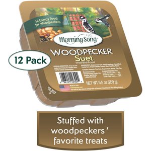 MORNING SONG Woodpecker Suet Wild Bird Food, 12 count - Chewy.com