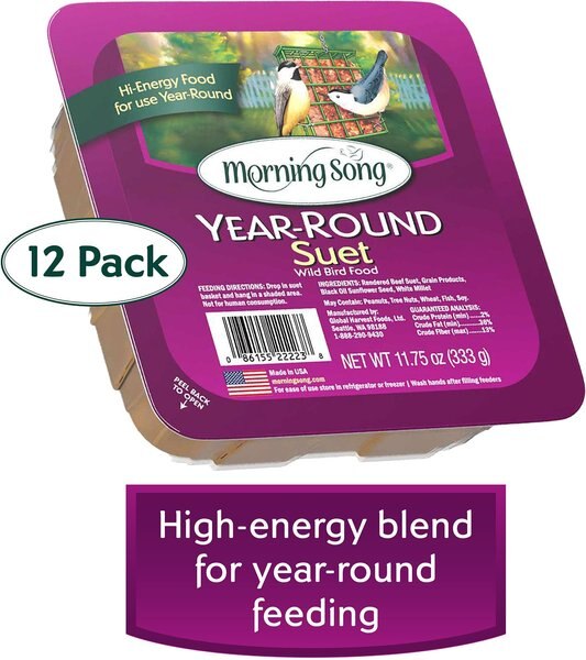 MORNING SONG Year Round Suet Wild Bird Food, 12 count