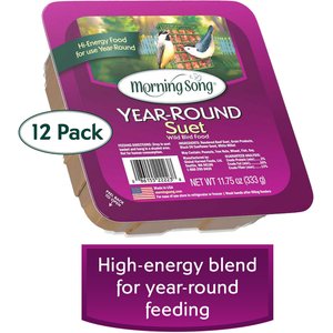 Morning Song Year Round Suet Wild Bird Food, 12 count