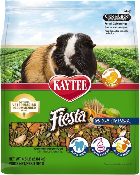 Kaytee Fiesta Gourmet Variety Diet Guinea Pig Food, 4.5-lb bag slide 1 of 14