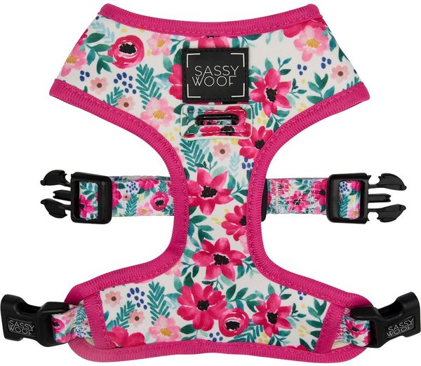 Sassy Dog Wear Rainbow Dog Harness