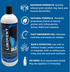 Ice Horse Cooling Liniment & Cold Therapy Extender Horse Liniment, 16-oz bottle slide 2 of 4