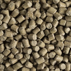 Kaytee Forti-Diet Pro Health Dental Health Mouse, Rat & Hamster Food, 3-lb bag
