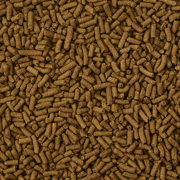 Kaytee Fortified Diet with Real Chicken Ferret Food