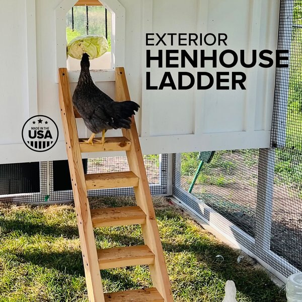 Carolina Coops Chicken Coop Henhouse Ladder Farm Supplies, 51-in