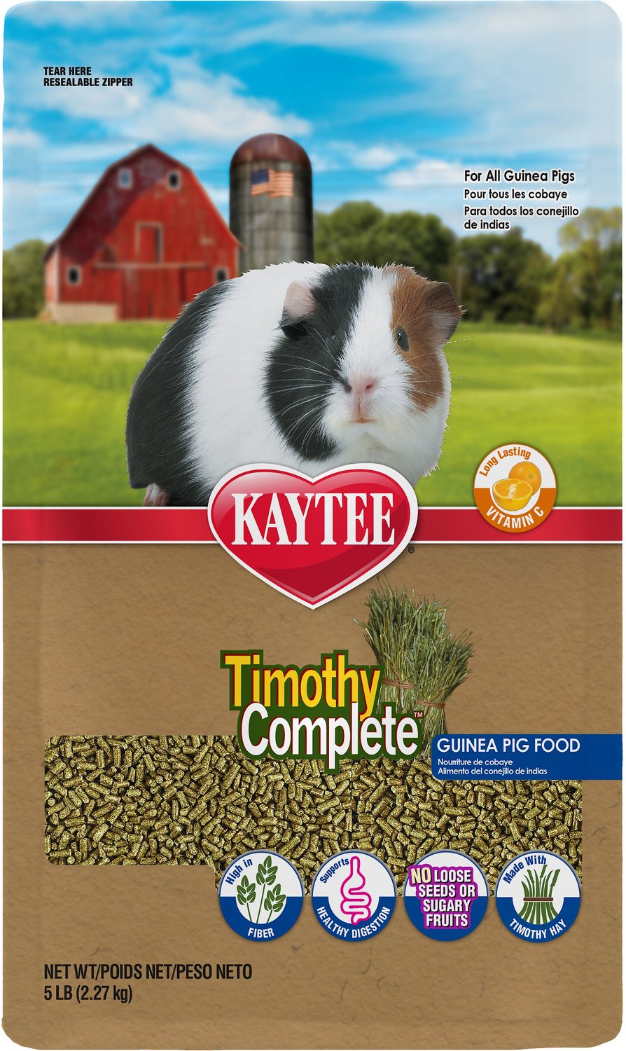 Kaytee Complete Guinea Pig Kit, Color Varies