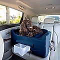 Snoozer Pet Products Luxury Lookout 2, Large, Shapphire