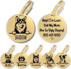 PawFurEver Dog Breed Stainless Steel Personalized Dog ID Tag, Alaskan Malamute, Gold