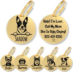 PawFurEver Dog Breed Stainless Steel Personalized Dog ID Tag, Australian Cattle, Gold