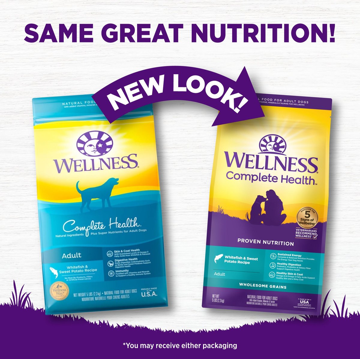 Wellness complete hot sale health whitefish