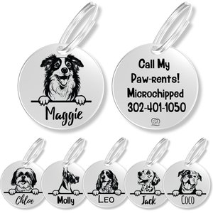 PawFurEver Dog Breed Stainless Steel Personalized Dog ID Tag, Australian Shepherd, Silver