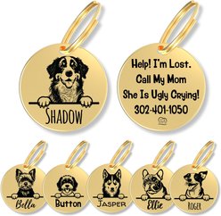 PawFurEver Dog Breed Stainless Steel Personalized Dog ID Tag, Bernese Mount, Gold