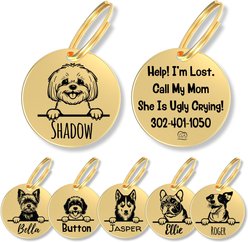 PawFurEver Dog Breed Stainless Steel Personalized Dog ID Tag, Bichon, Gold