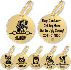 PawFurEver Dog Breed Stainless Steel Personalized Dog ID Tag, Bloodhound, Gold