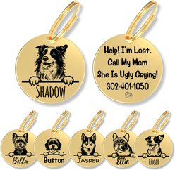 PawFurEver Dog Breed Stainless Steel Personalized Dog ID Tag, Border Collie, Gold