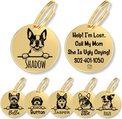 PawFurEver Dog Breed Stainless Steel Personalized Dog ID Tag, Boston Terrier, Gold