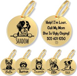 PawFurEver Dog Breed Stainless Steel Personalized Dog ID Tag, Brittany Spaniel, Gold
